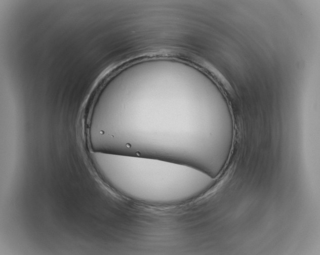 X0000112761075200908201029