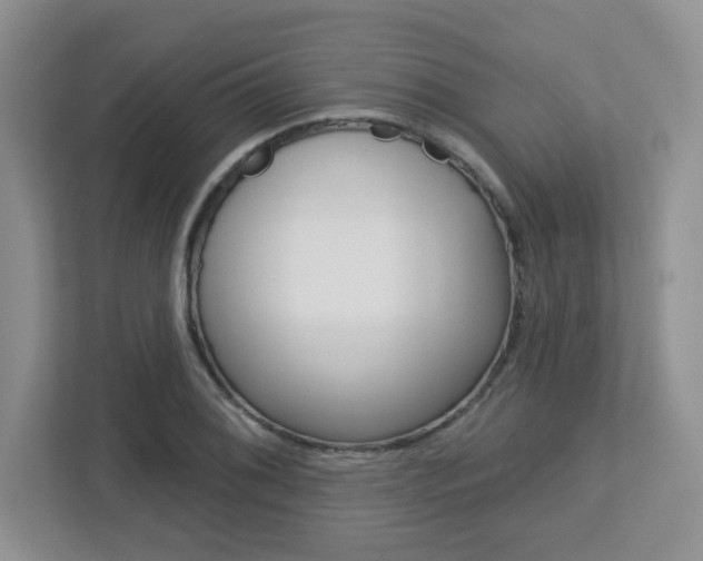 X0000112761076200908201029