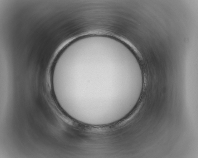 X0000112761078200908201029