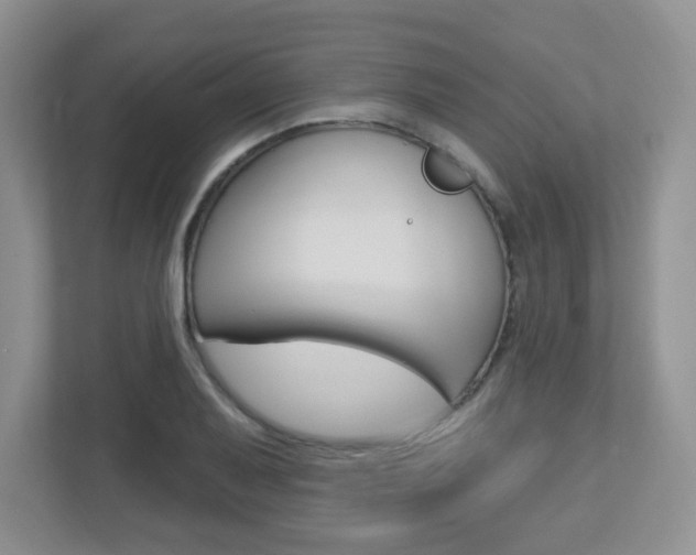 X0000112761079200908201029