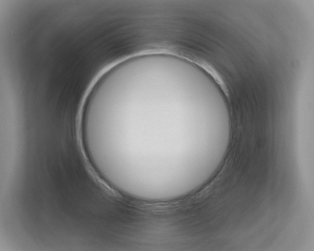 X0000112761080200908201029