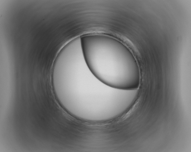 X0000112761081200908201029