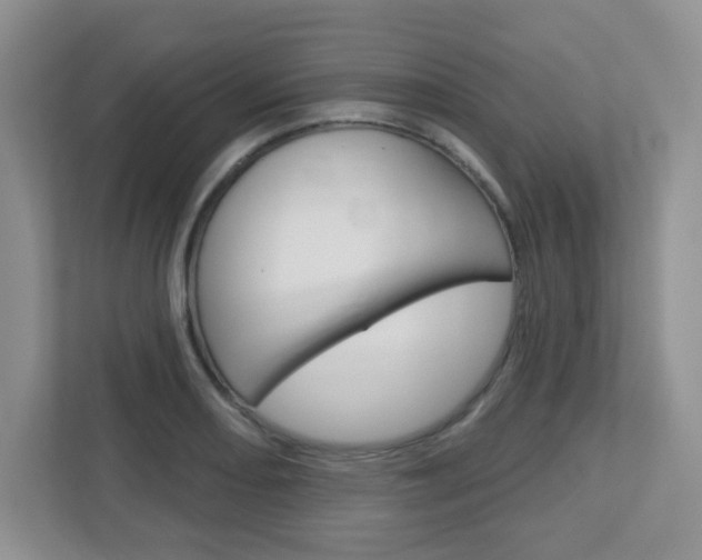 X0000112761082200908201029