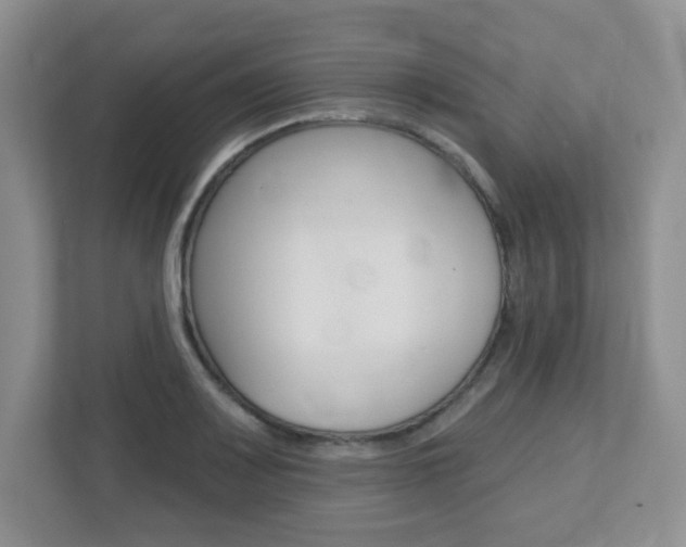 X0000112761083200908201029
