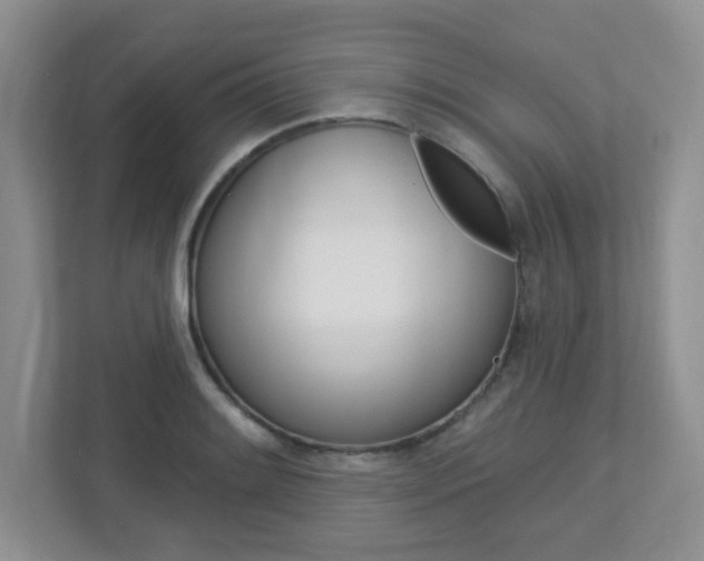 X0000112761084200908201029