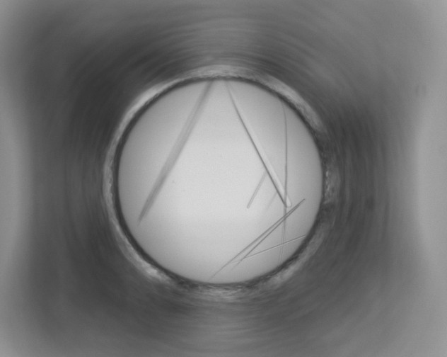 X0000112761086200908201028