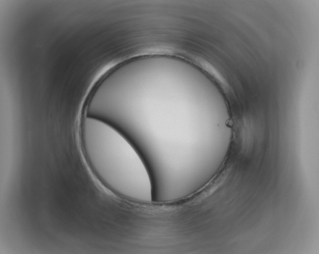 X0000112761087200908201028