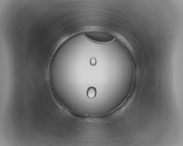 X0000112761089200908201028