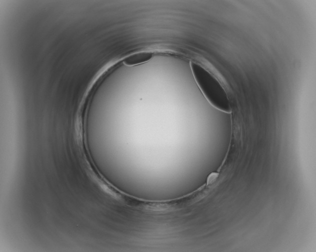 X0000112761092200908201028