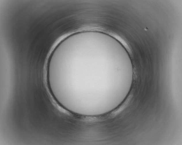 X0000112761094200908201028