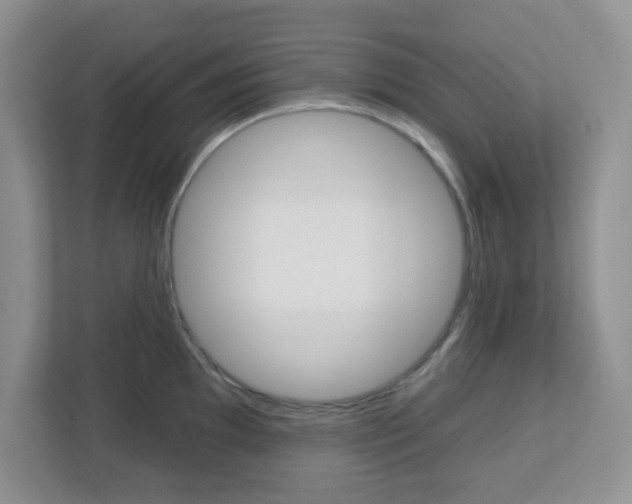 X0000112761097200908201028