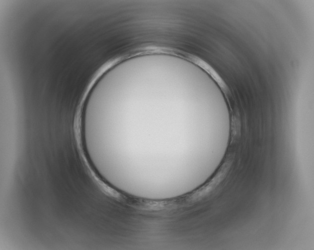 X0000112761098200908201028