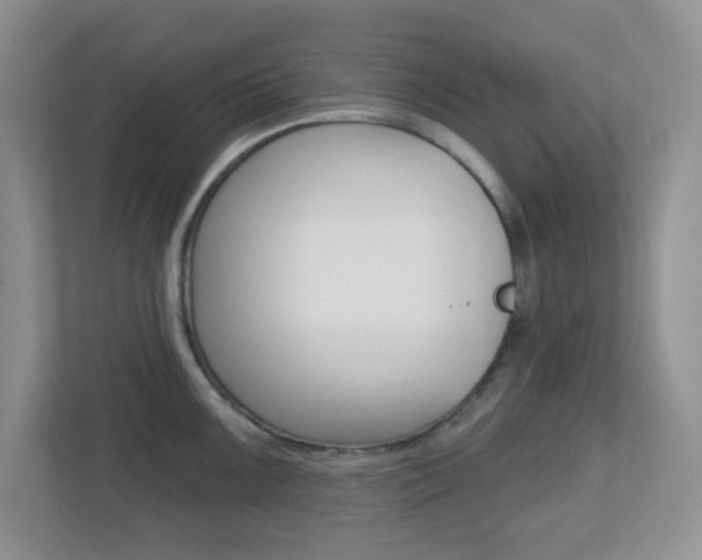 X0000112761099200908201028