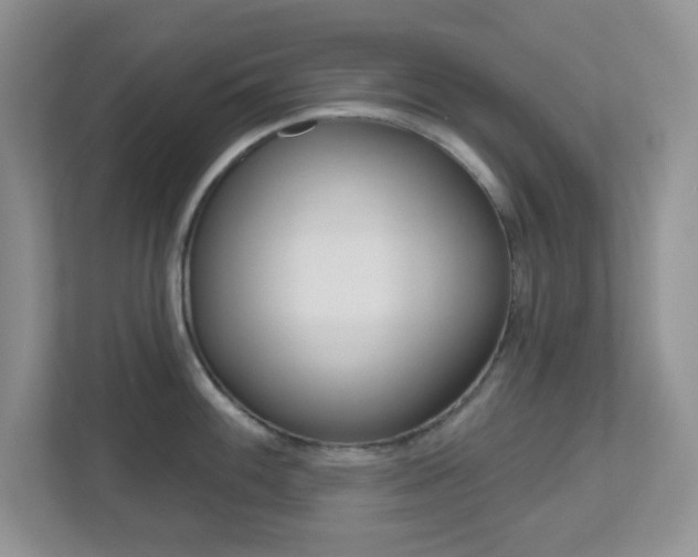 X0000112761100200908201028