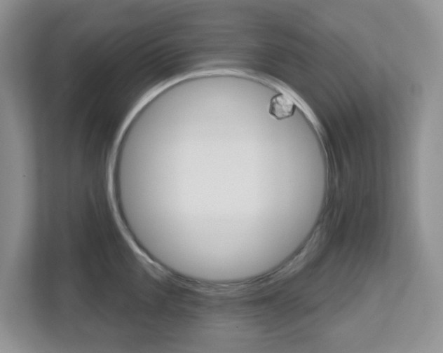 X0000112761101200908201028
