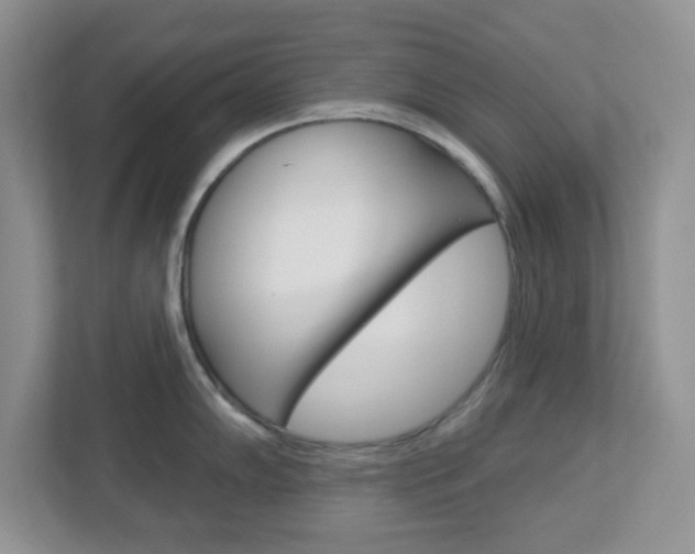 X0000112761102200908201028