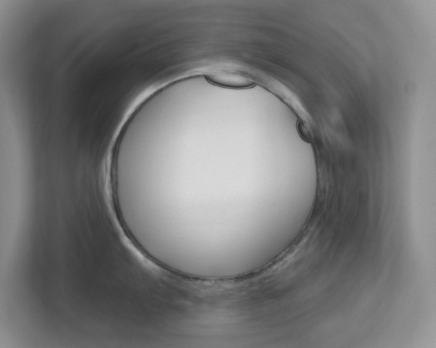 X0000112761103200908201028