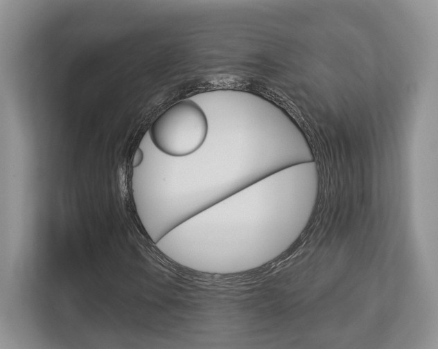 X0000112761106200908201028