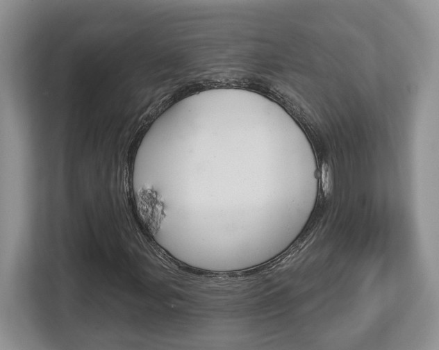 X0000112761107200908201028