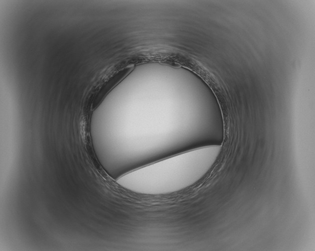 X0000112761108200908201028