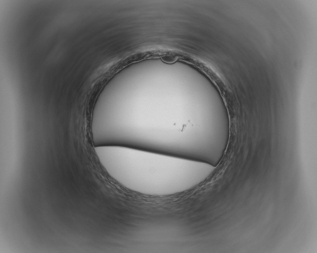 X0000112761111200908201028
