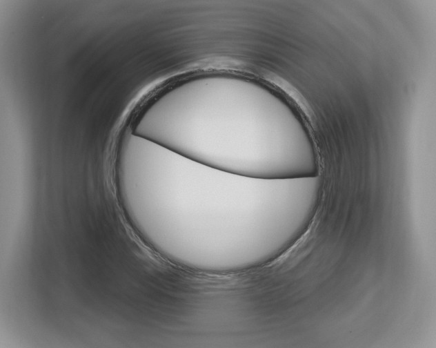 X0000112761115200908201028