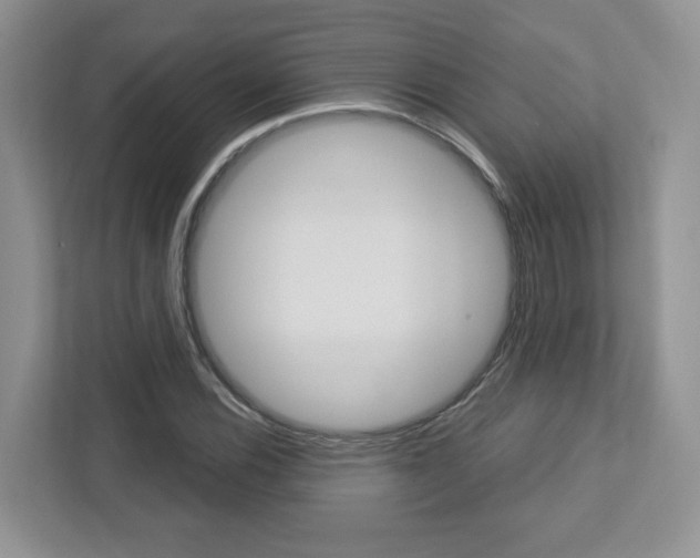 X0000112761116200908201028