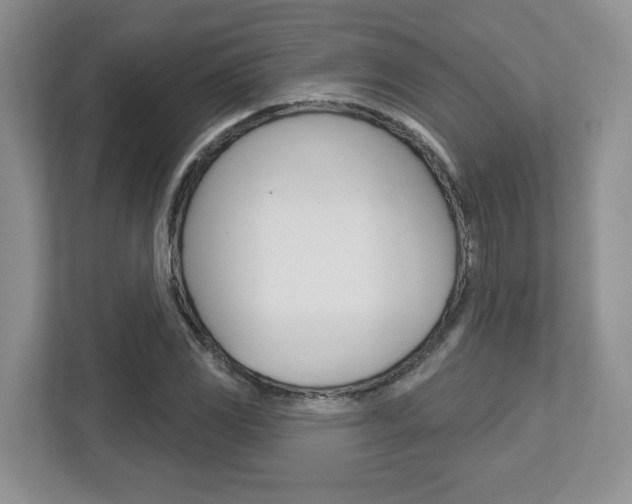 X0000112761117200908201028
