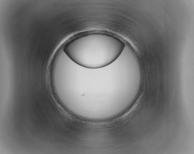 X0000112761118200908201028