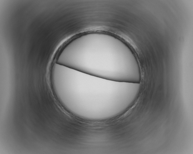 X0000112761119200908201028