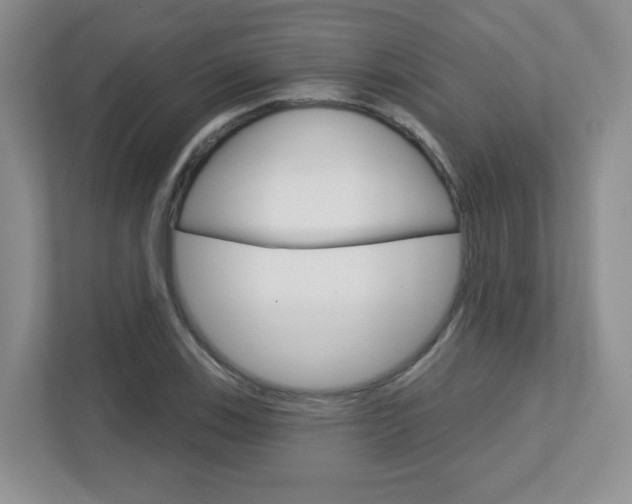 X0000112761123200908201028