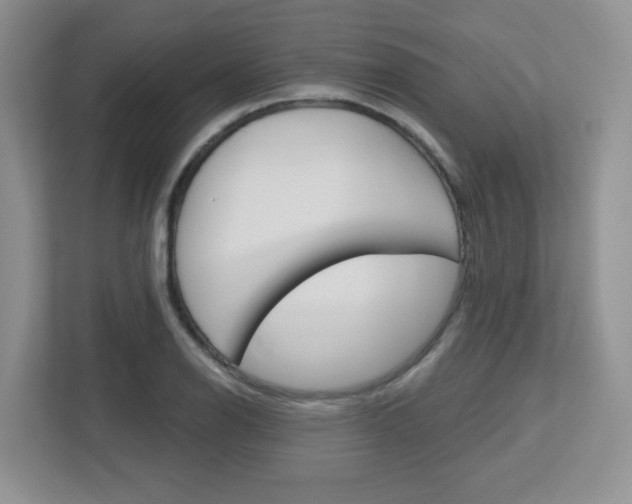 X0000112761126200908201028