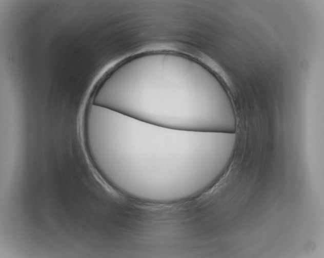 X0000112761127200908201028