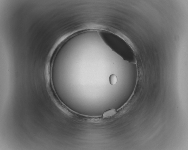 X0000112761128200908201028