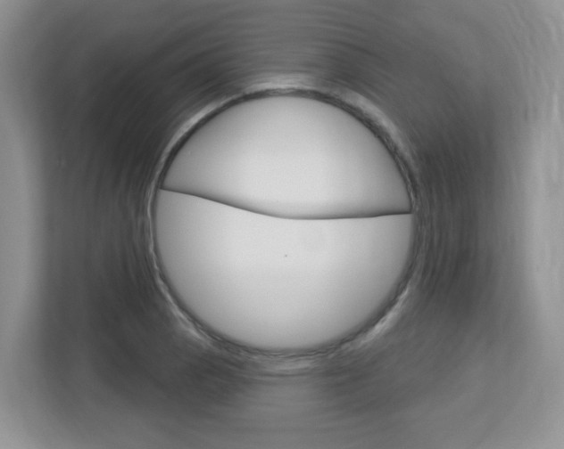X0000112761129200908201028
