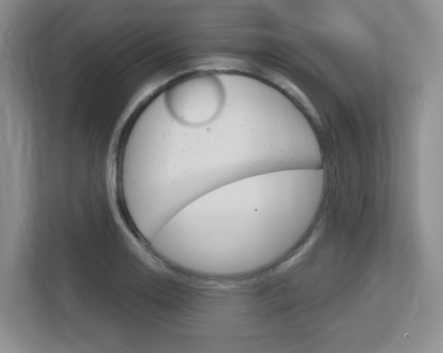 X0000112761130200908201028