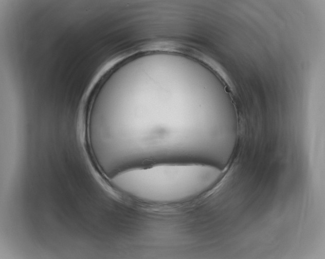 X0000112761131200908201028