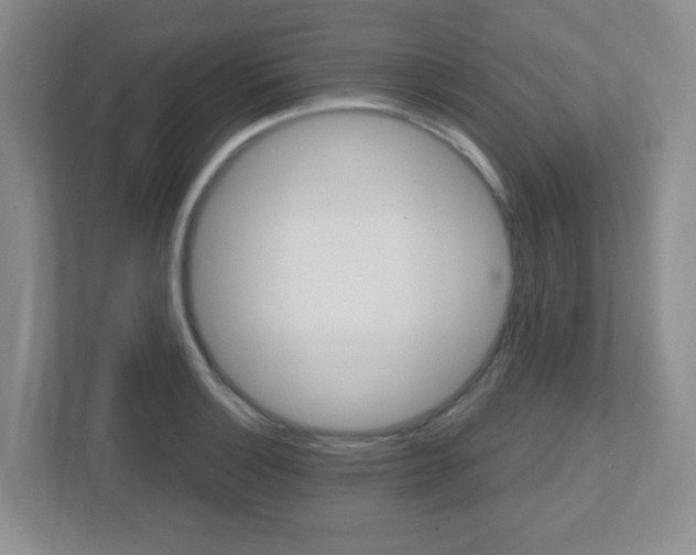 X0000112761132200908201028