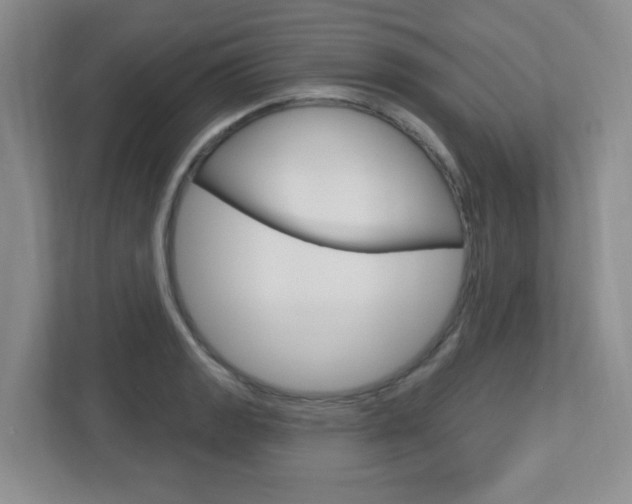 X0000112761133200908201028