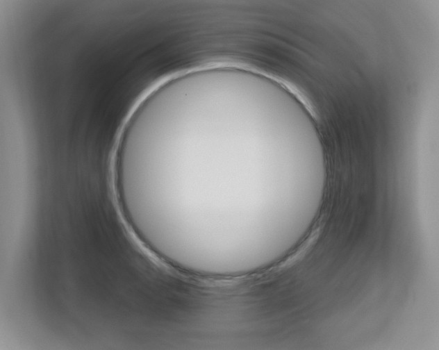 X0000112761134200908201028