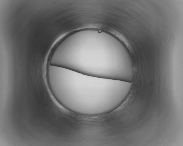 X0000112761135200908201028