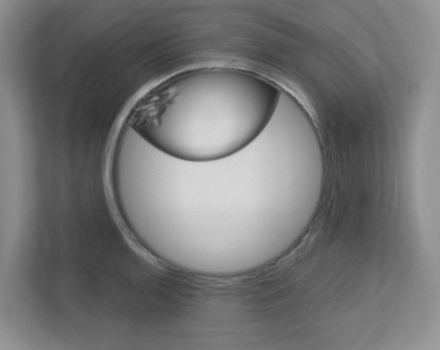 X0000112761136200908201028