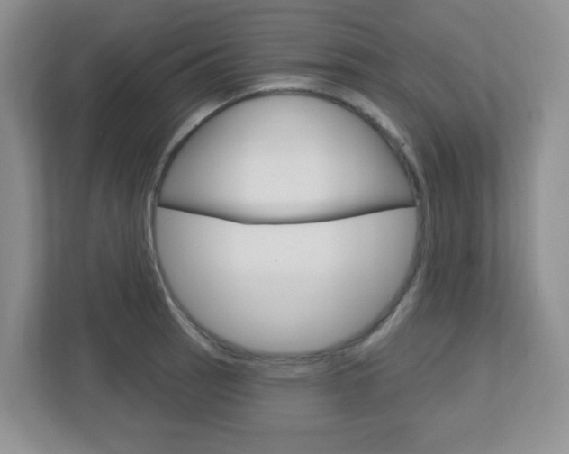 X0000112761137200908201028