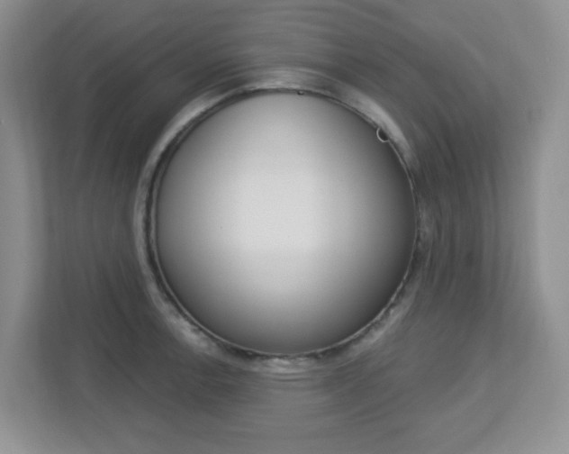 X0000112761138200908201028
