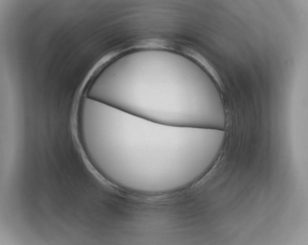 X0000112761139200908201028