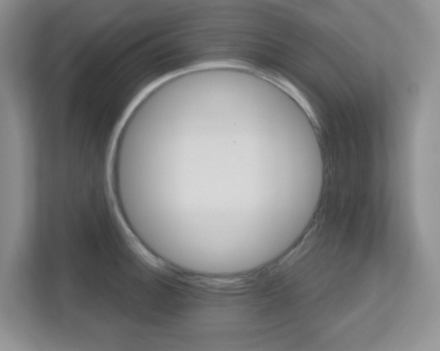 X0000112761140200908201028