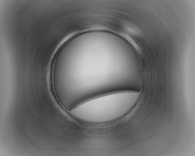 X0000112761142200908201028