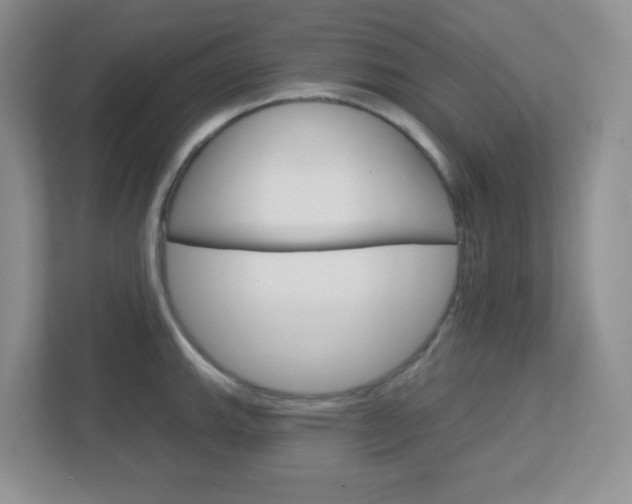 X0000112761143200908201028