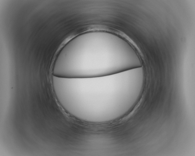 X0000112761145200908201028