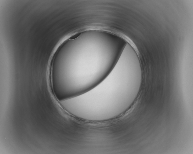 X0000112761146200908201028